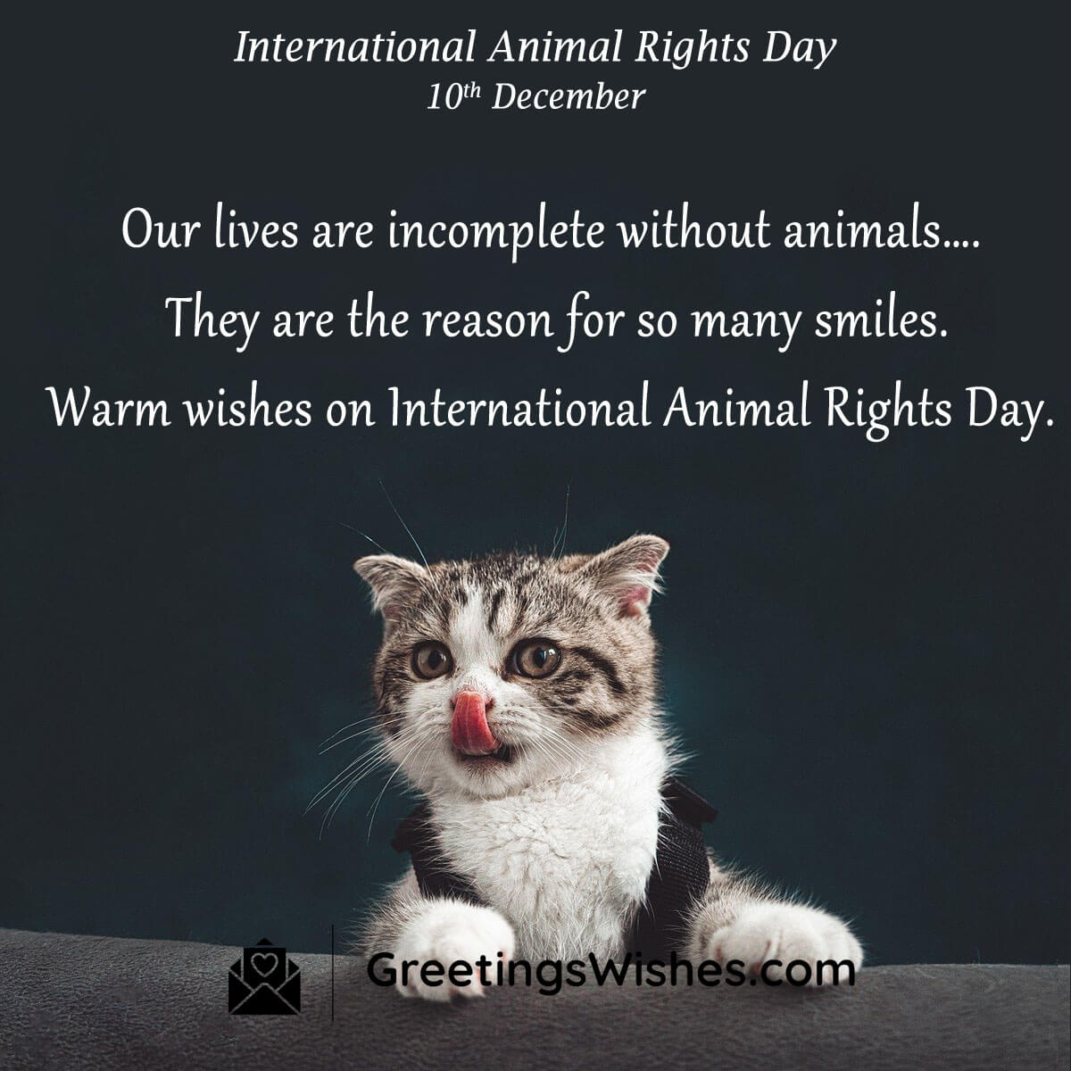 Animal Rights Day Message