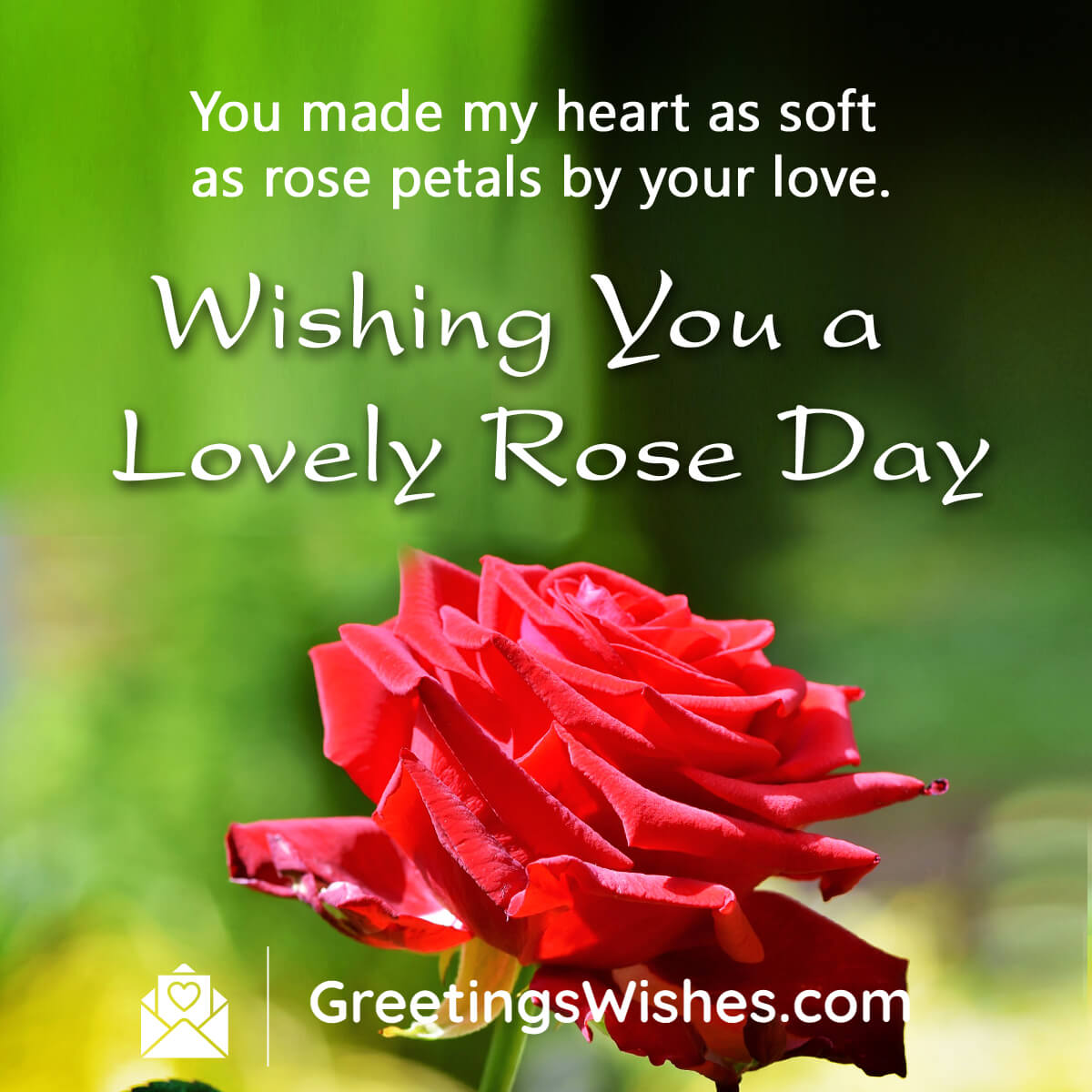 Lovely Rose Day