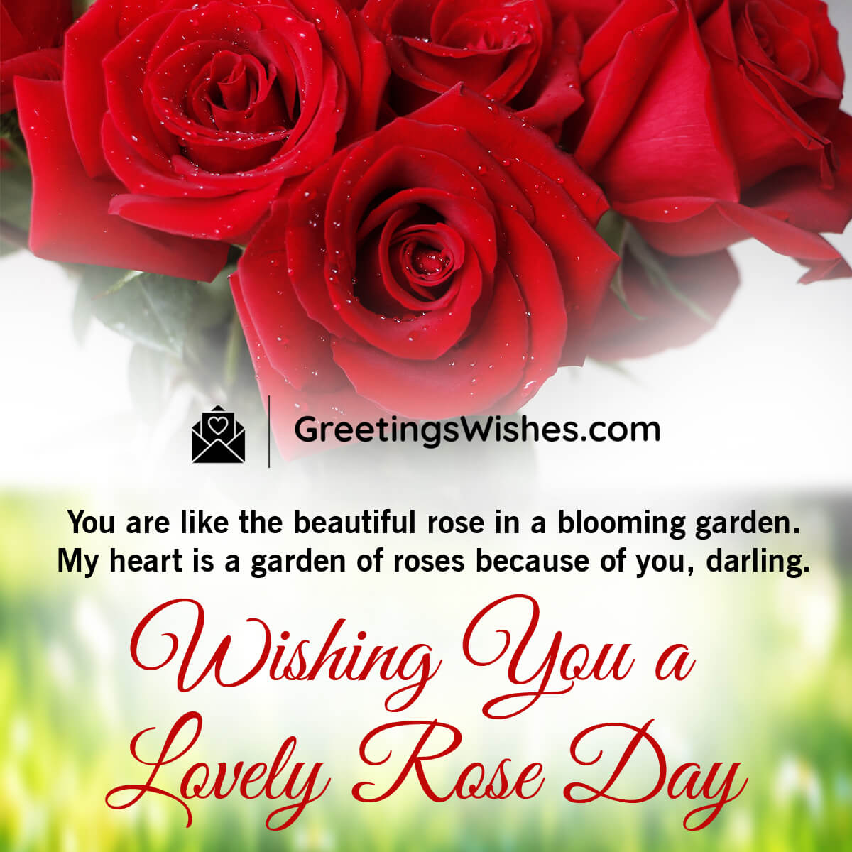 Rose Day Greetings