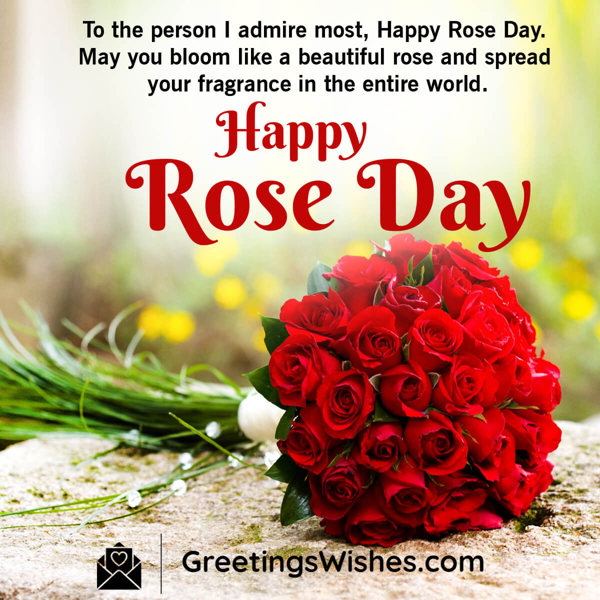 Rose Day