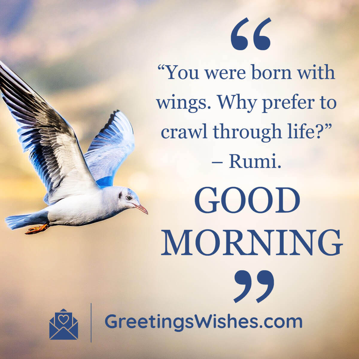Good Morning Rumi Quotes Greetings Wishes