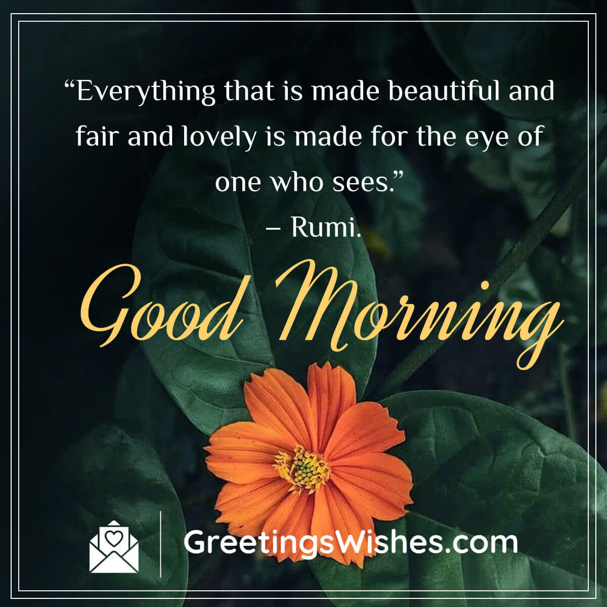 Good Morning Rumi Quotes Greetings Wishes