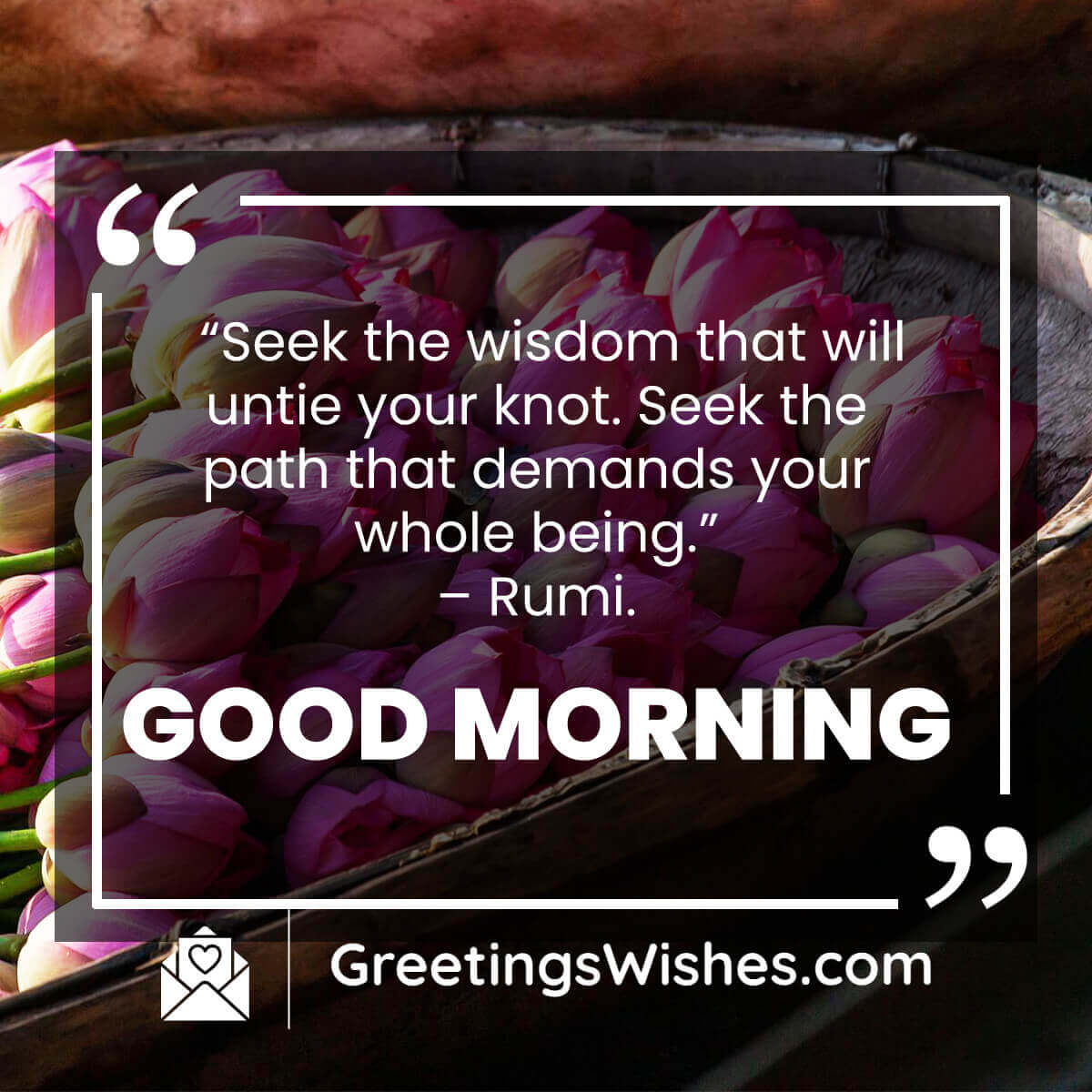 Good Morning Rumi Thought