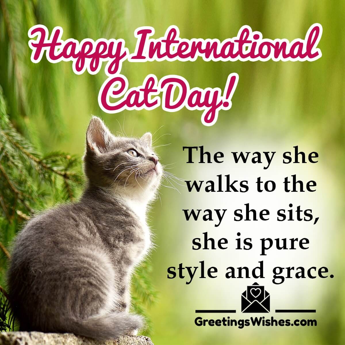 Happy Inspirational Cat Day Creative Slogans