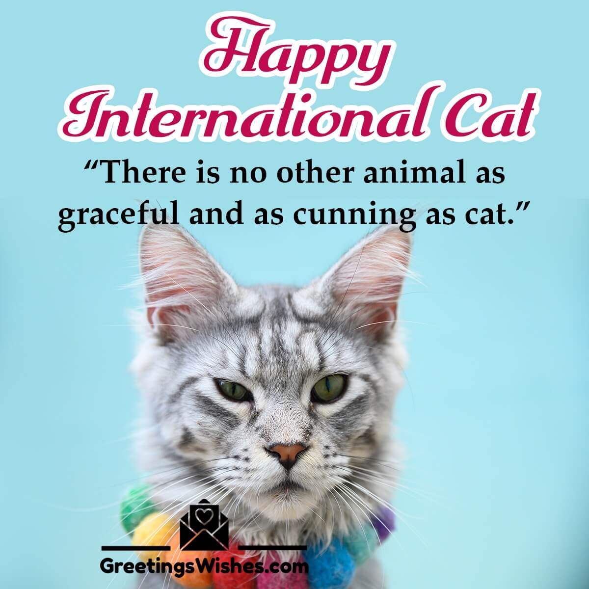 Inspirational Cat Day Creative Slogan
