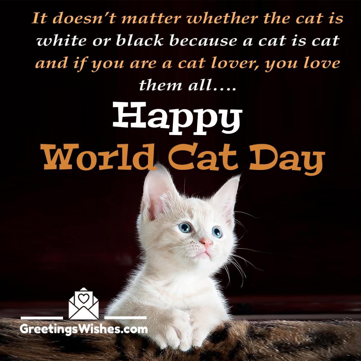 International Cat Day Messages