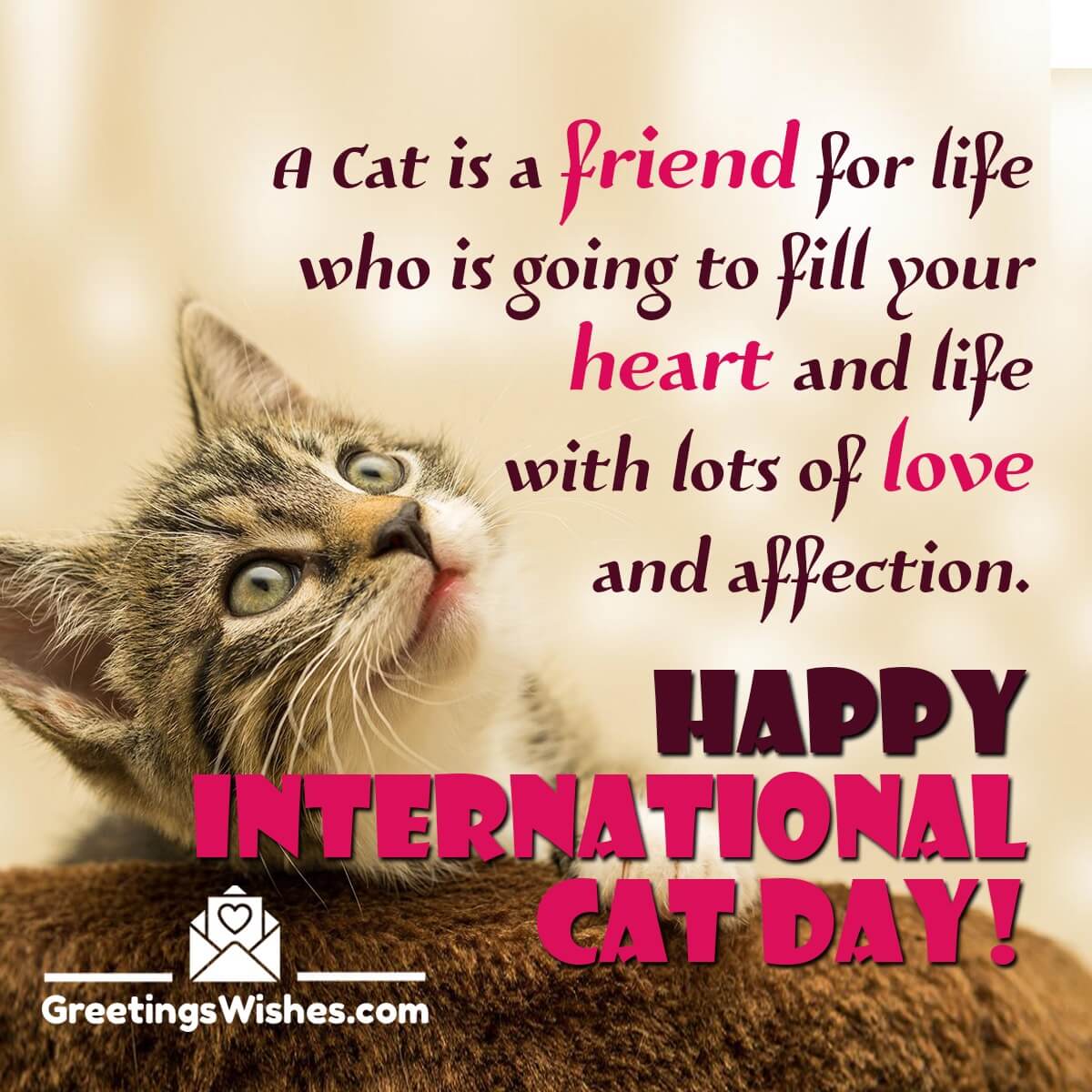 International Cat Day Quotes