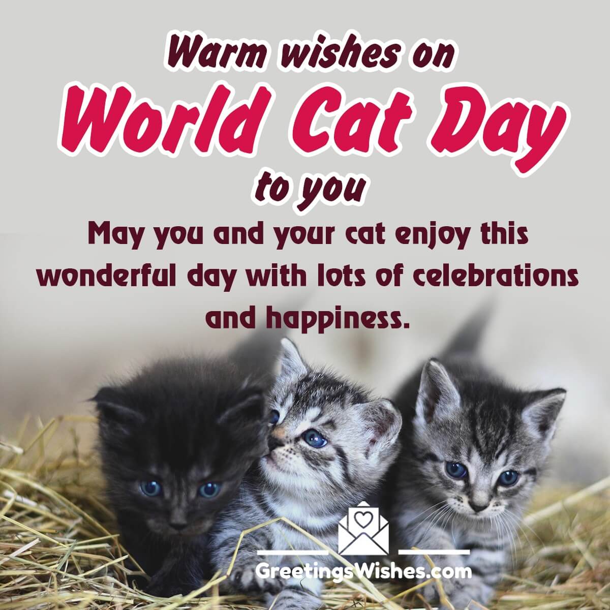 International Cat Day Messages And Quotes (8th August)