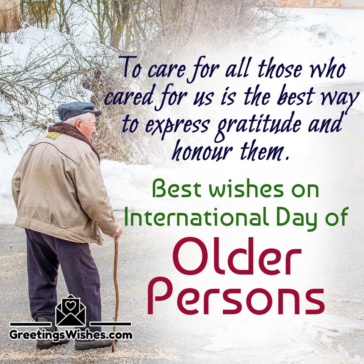 International Day Of Older Persons Wishes