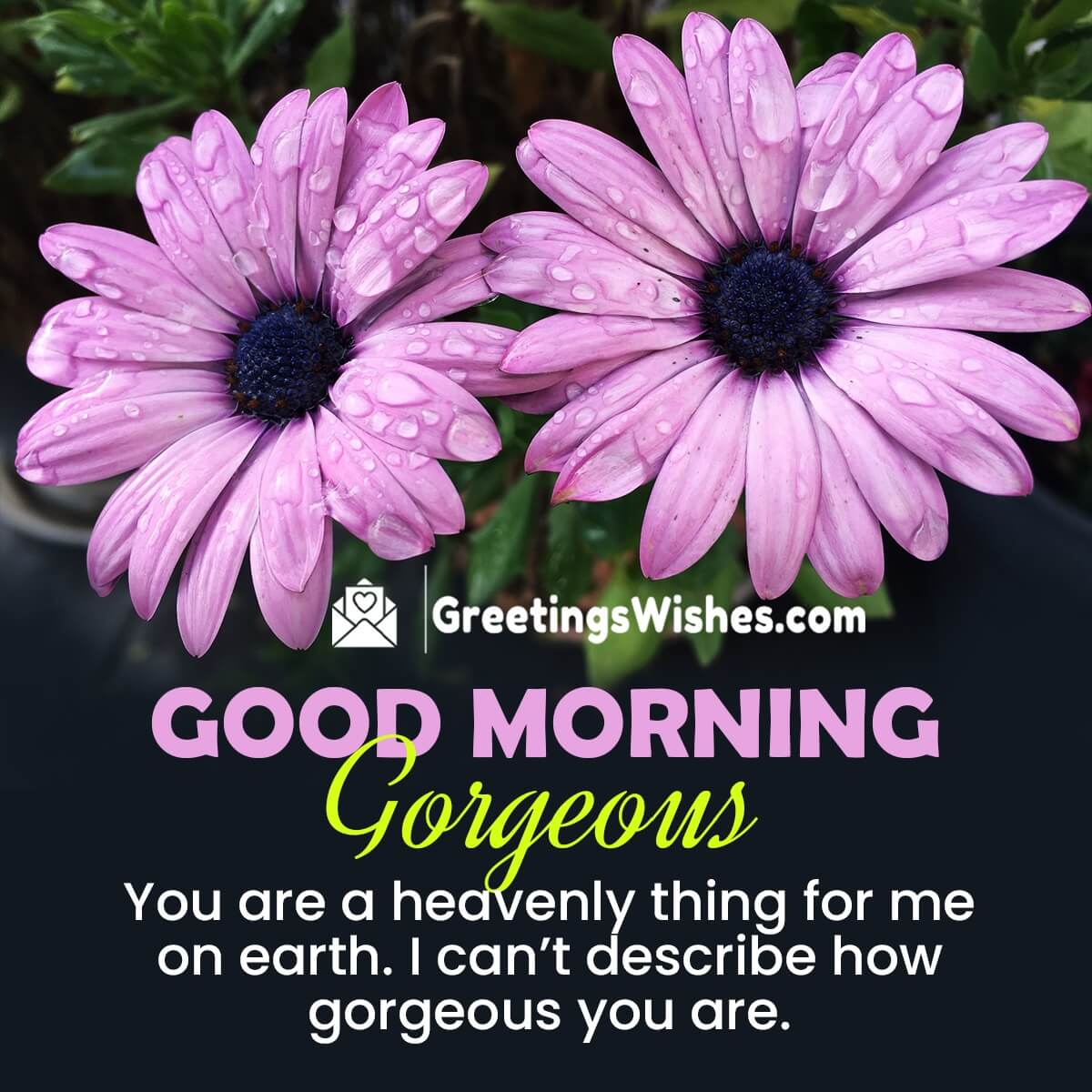 Good Morning Message For Gorgeous