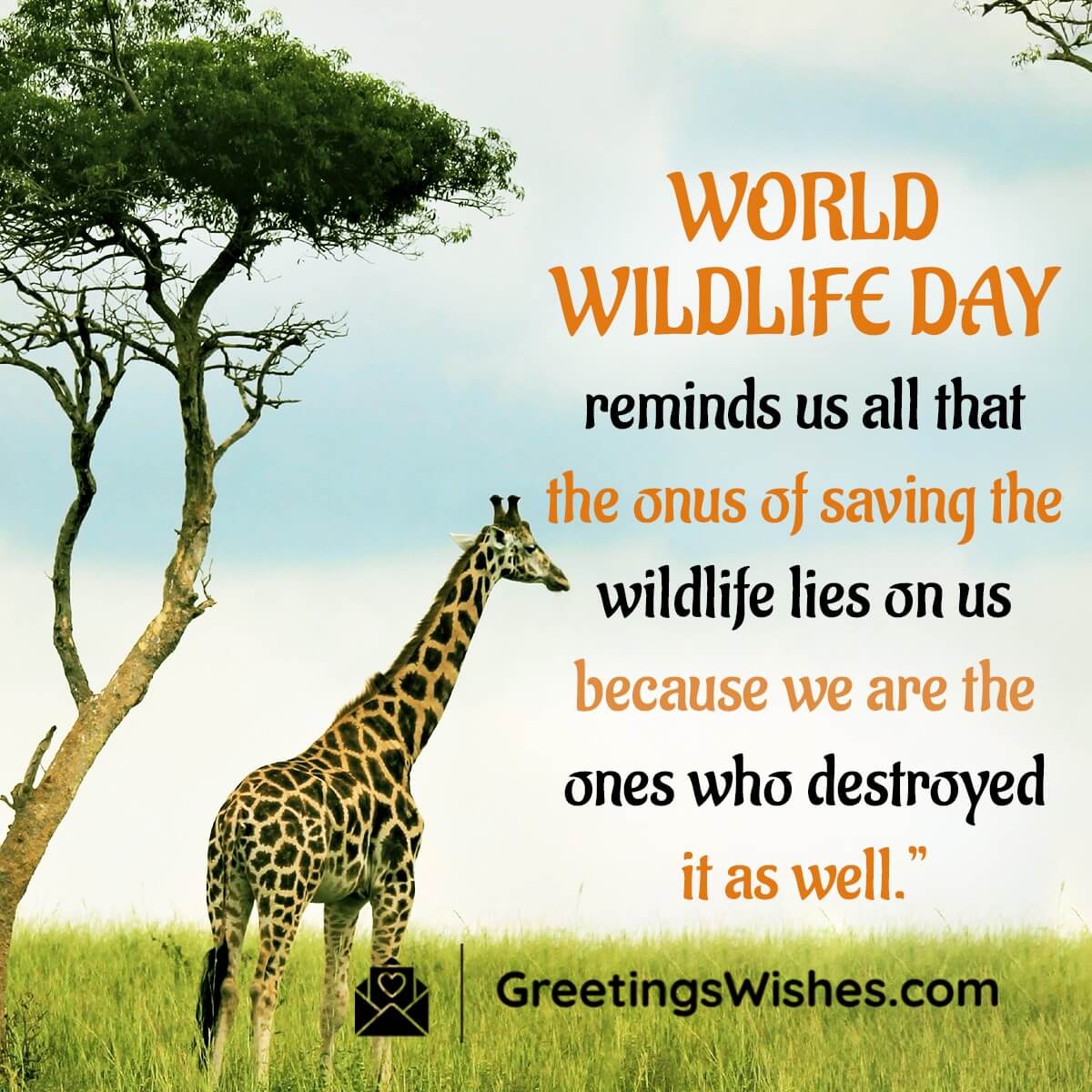 World Wildlife Day Message