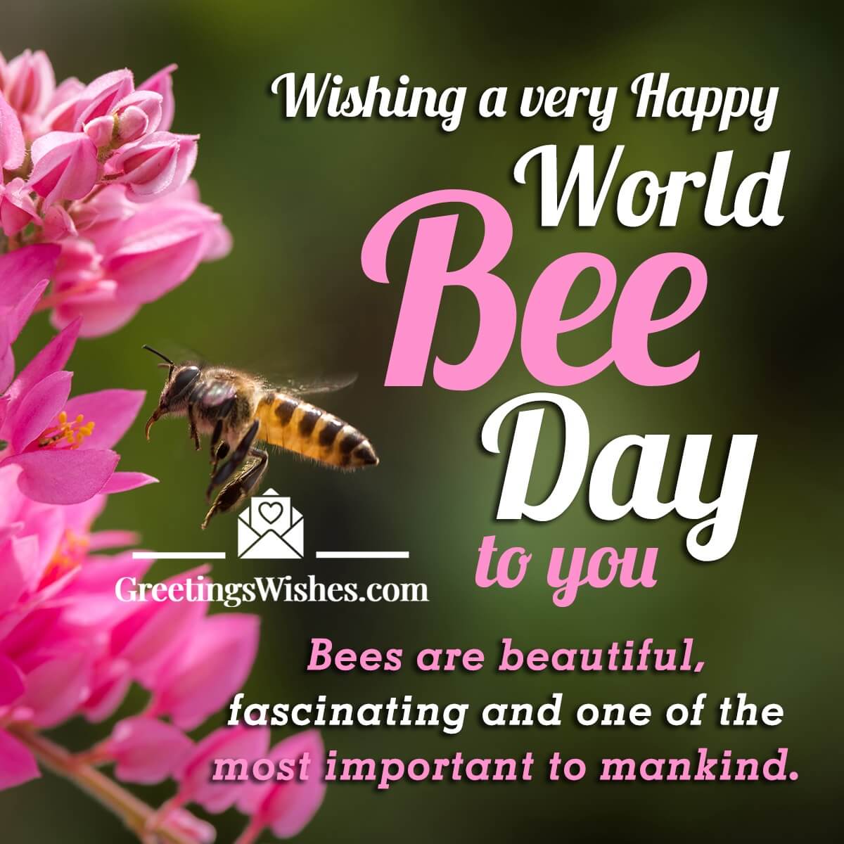 World Bee Day Wishes (20th May)