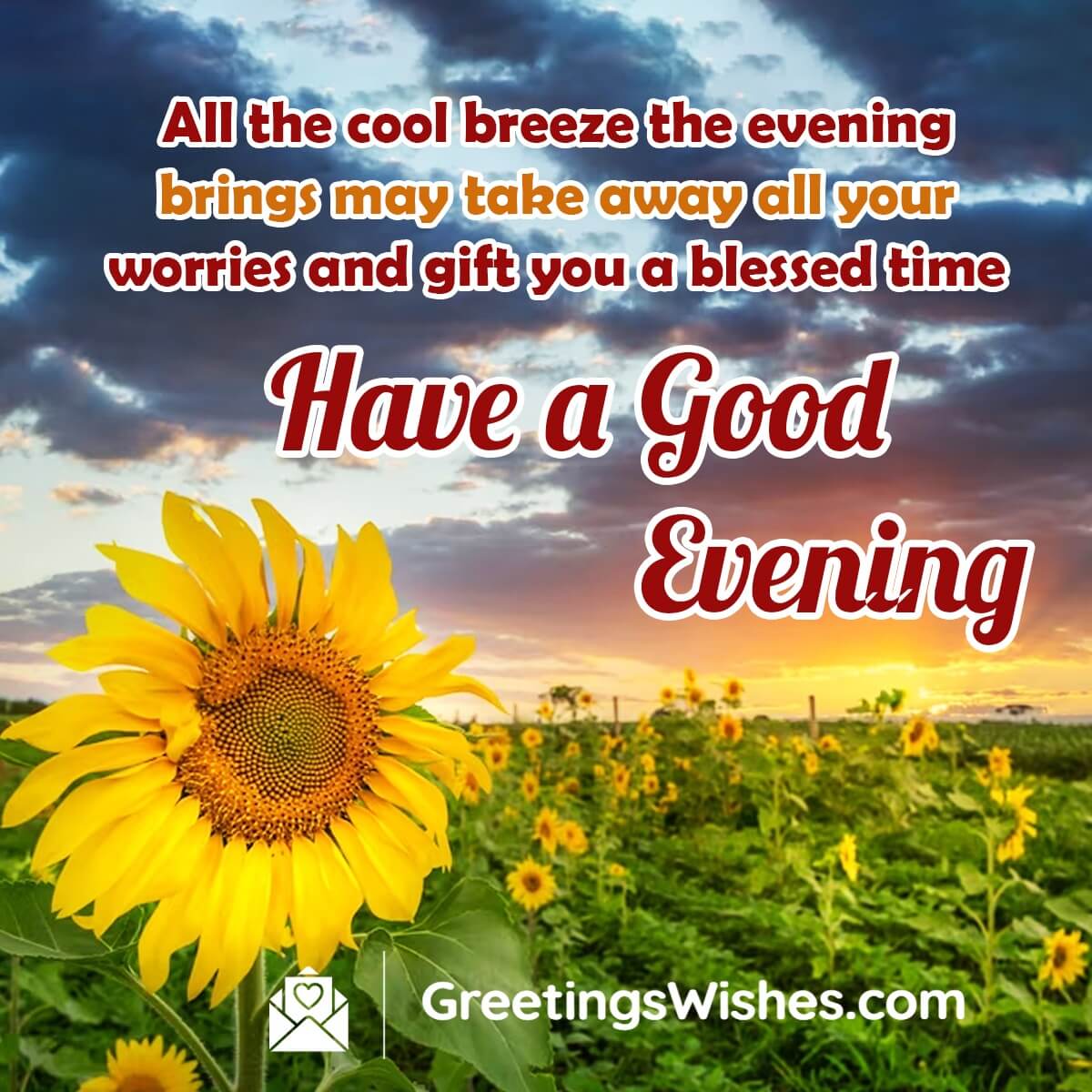 Best Good Evening Wish