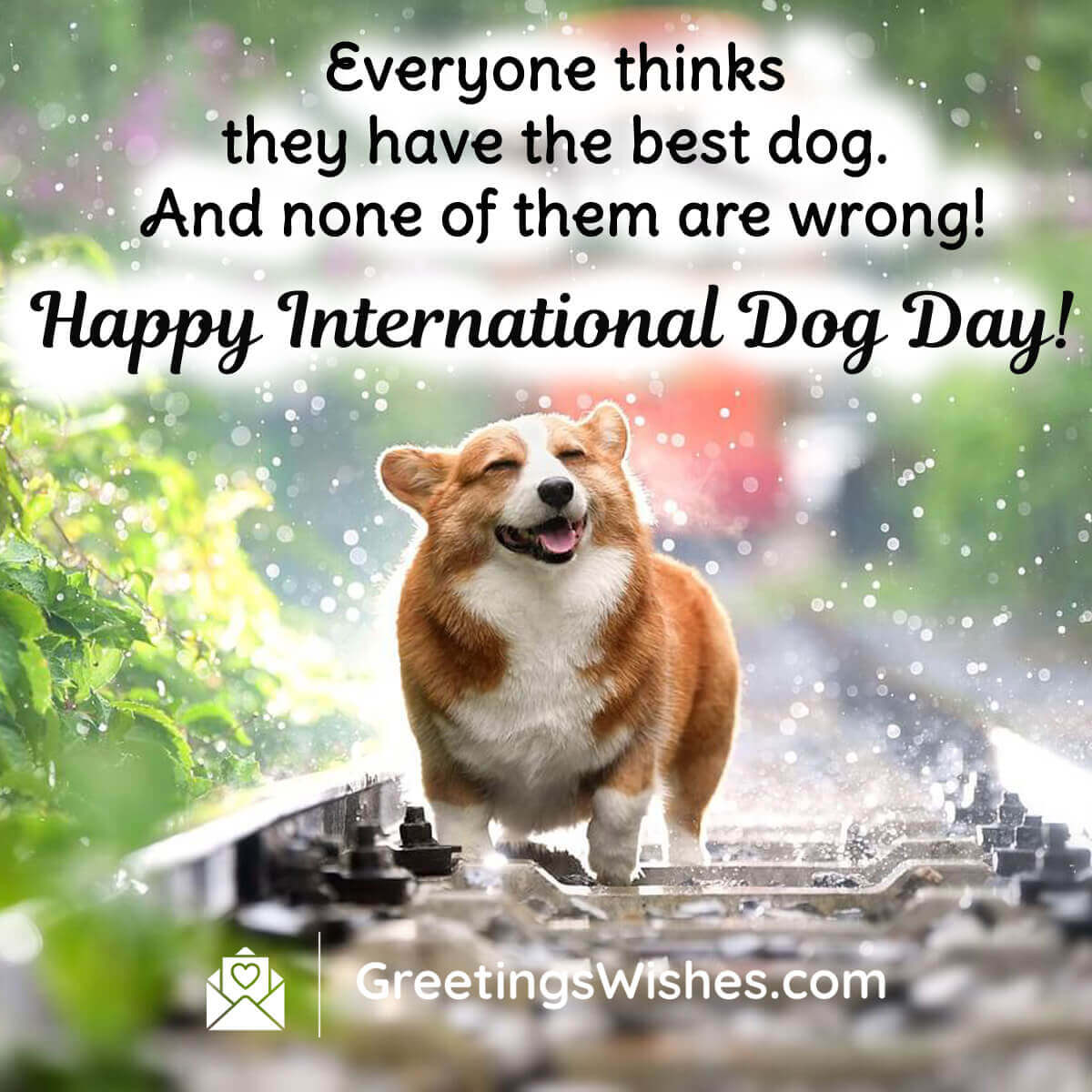 International Dog Day Quotes