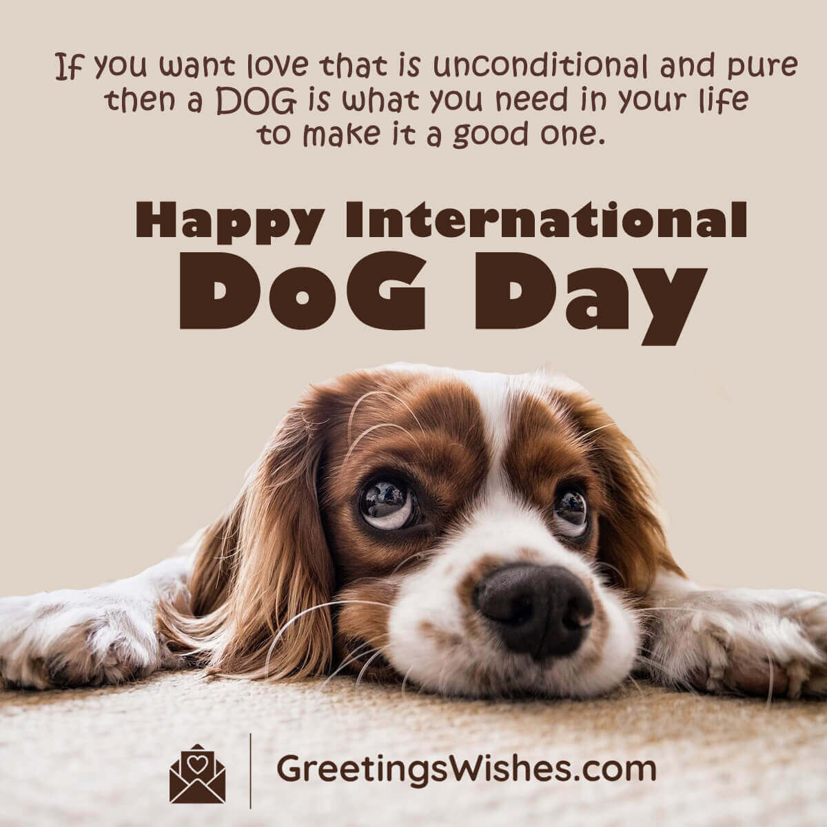 International Dog Day Wishes