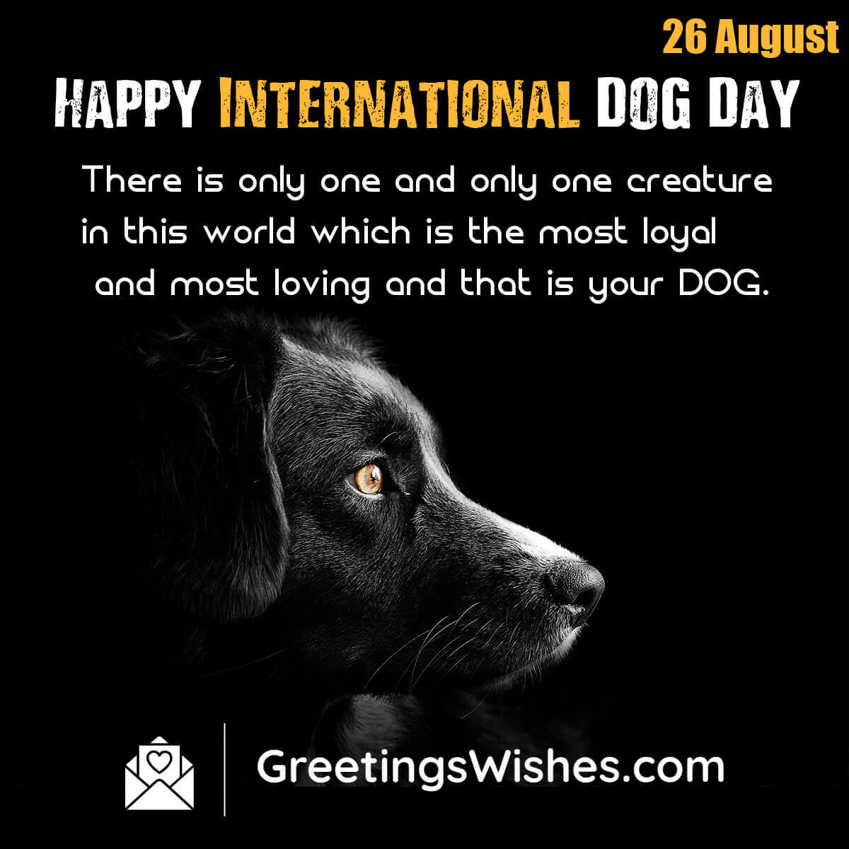 International Dog Day Wishes (26 August)