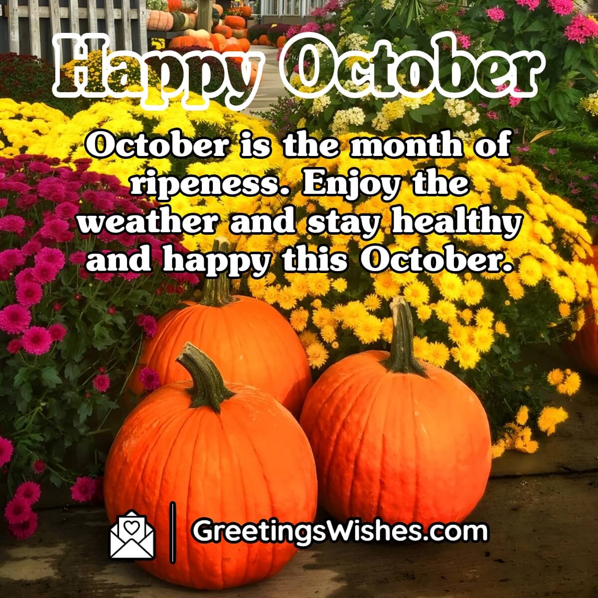 Happy October Month Wishes ( 1 October ) - Greetings Wishes