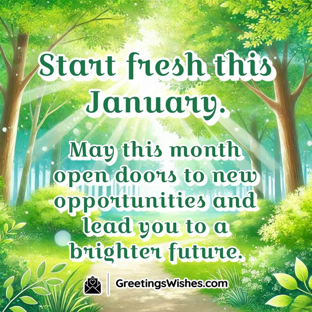 A bright, open path through a forest, symbolizing fresh starts and new opportunities in January.