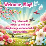 A vibrant spring morning with blooming flowers, symbolizing new beginnings and fresh opportunities in May.