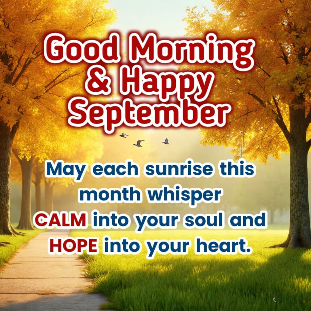 September month image featuring morning sunlight shining through golden trees with soft skies symbolizing calmness new hope and fresh beginnings.