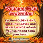 September month image featuring golden morning sunlight shining through rustling autumn leaves with a soft breeze symbolizing freshness calmness and renewal.
