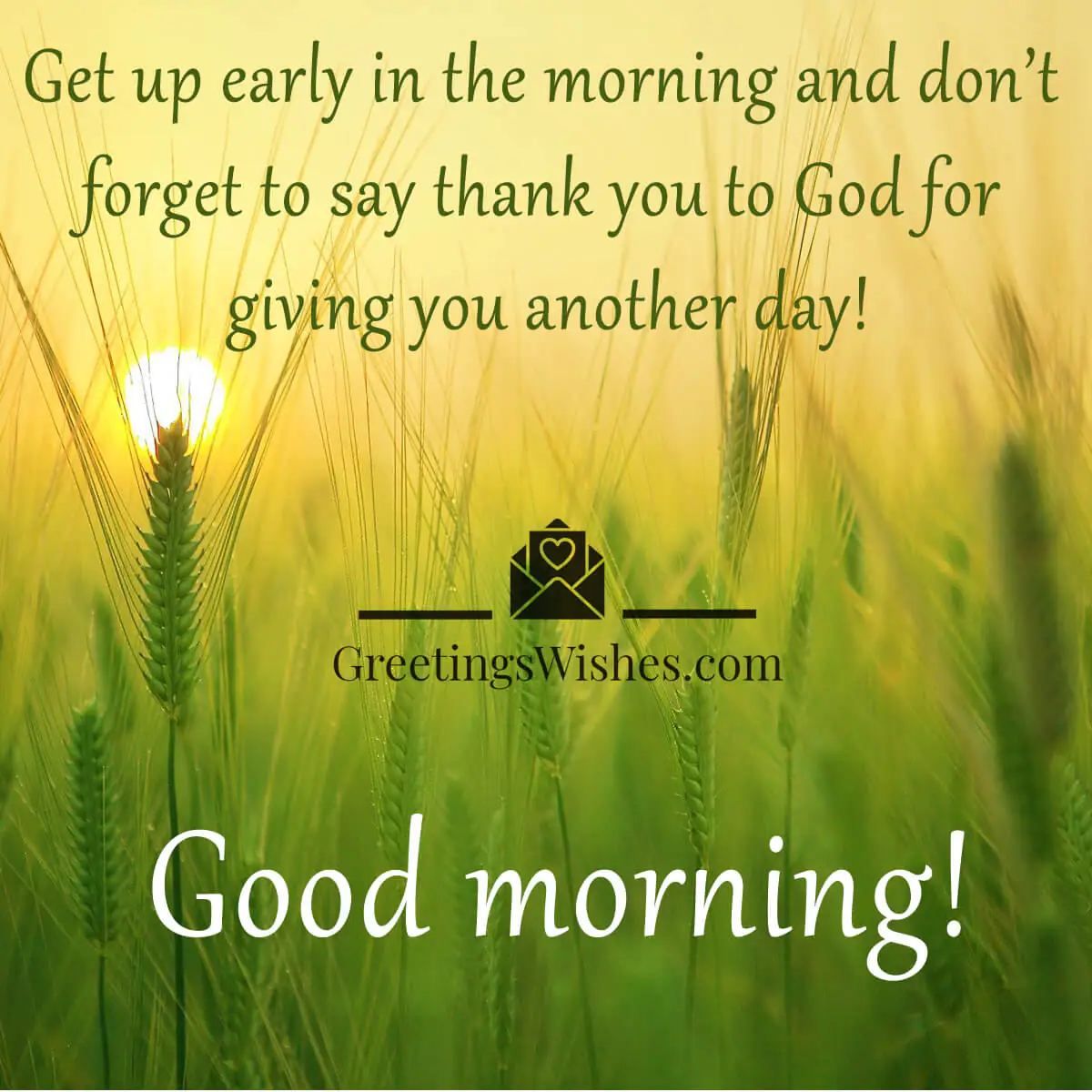 Good Early Morning