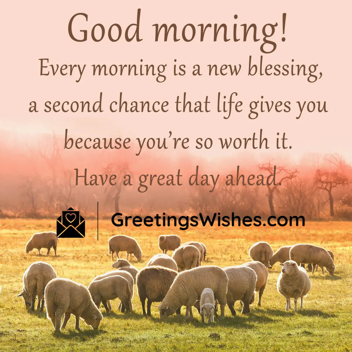 Good Morning Wish