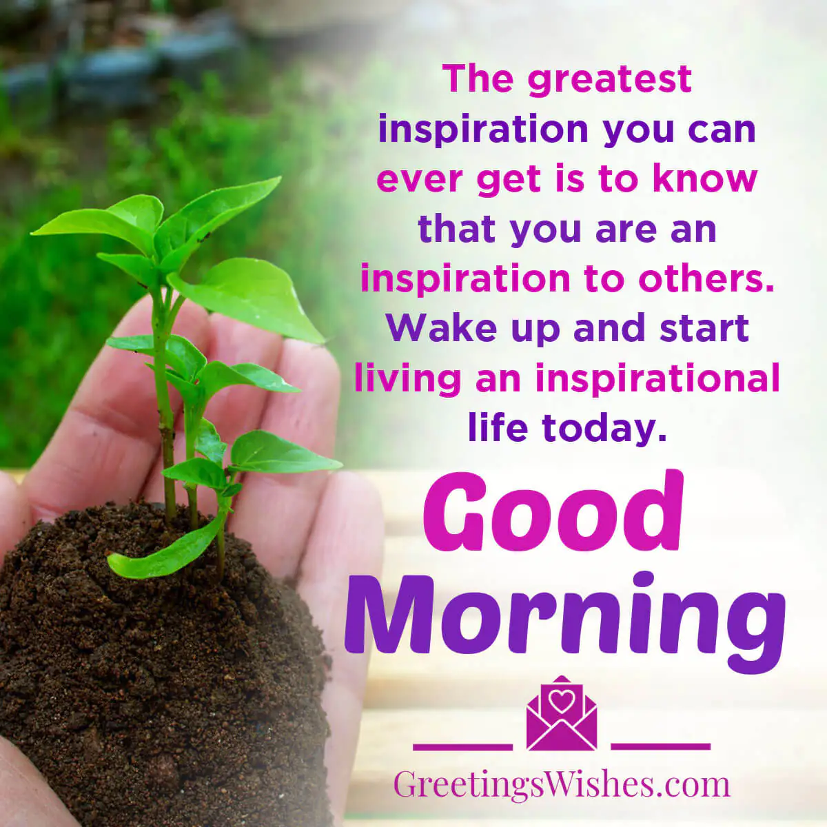 Good Morning Inspiration
