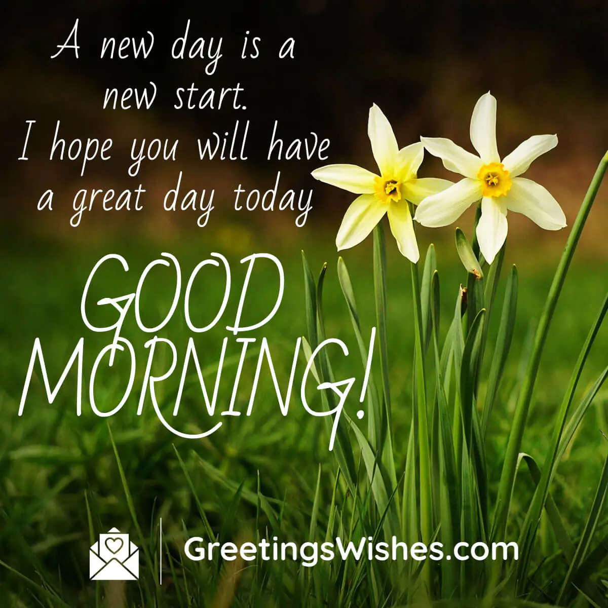 Good Morning Inspirational Pics