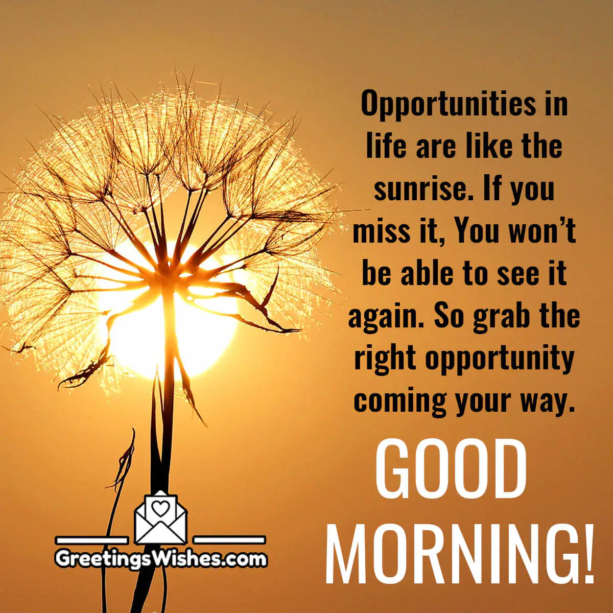 Inspirational Good Morning Quote
