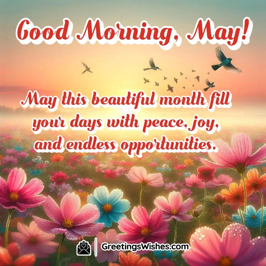 A calm sunrise scene with blooming flowers symbolizing peace, joy, and fresh opportunities in May.