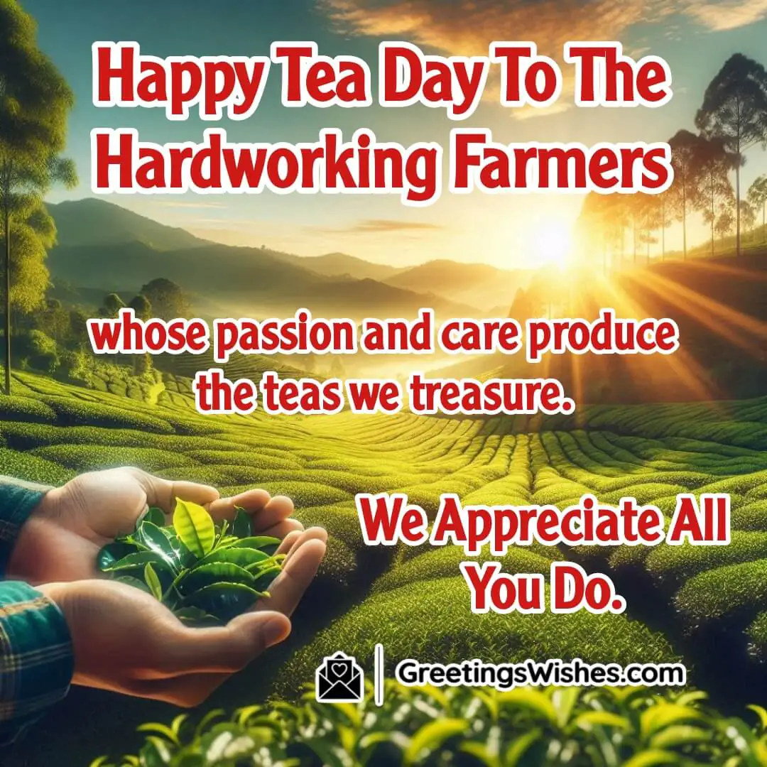 A bright green tea plantation with early morning sunlight, a farmer holding freshly picked tea leaves, with clear sky and space at the top for message text.