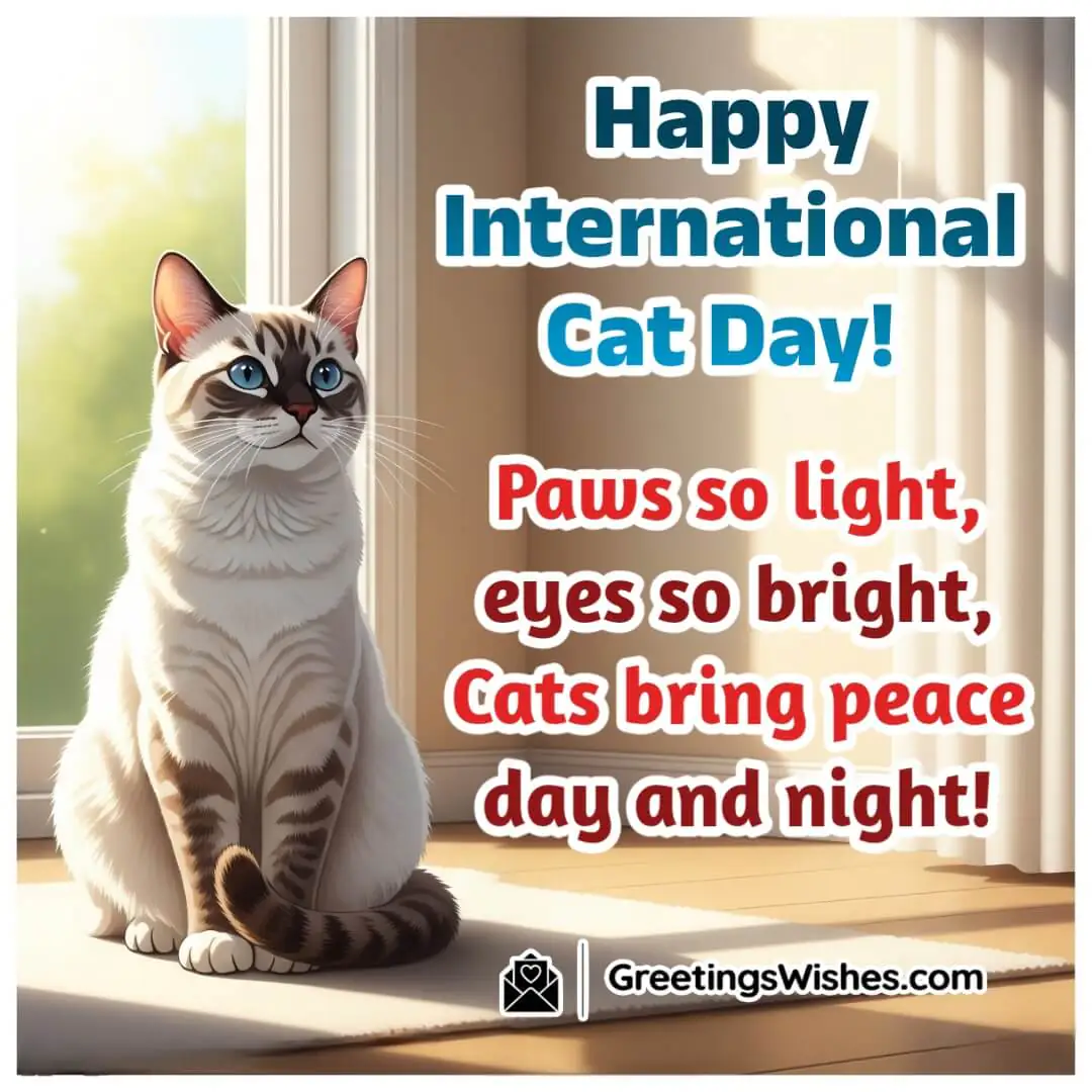 Catchy International Cat Day Slogans And Taglines Image featuring a bright-eyed cat sitting gracefully in a warm, quiet space, symbolizing elegance, serenity, and the peaceful presence of cats.